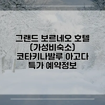그랜드 보르네오 호텔 (가성비숙소) 코타키나발루 아고다 특가 예약정보