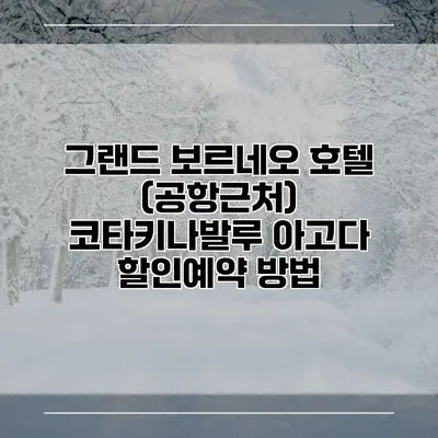 그랜드 보르네오 호텔 (공항근처) 코타키나발루 아고다 할인예약 방법