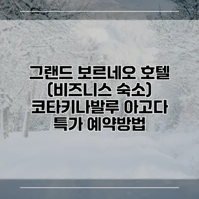 그랜드 보르네오 호텔 (비즈니스 숙소) 코타키나발루 아고다 특가 예약방법