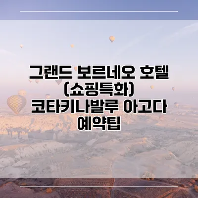 그랜드 보르네오 호텔 (쇼핑특화) 코타키나발루 아고다 예약팁