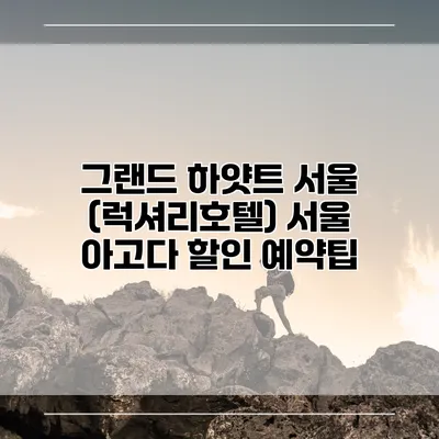 그랜드 하얏트 서울 (럭셔리호텔) 서울 아고다 할인 예약팁