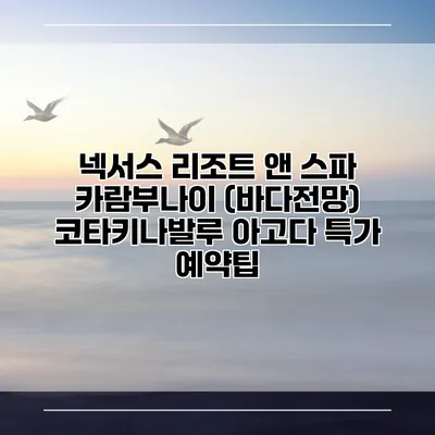 넥서스 리조트 앤 스파 카람부나이 (바다전망) 코타키나발루 아고다 특가 예약팁