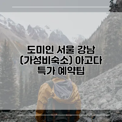 도미인 서울 강남 (가성비숙소) 아고다 특가 예약팁