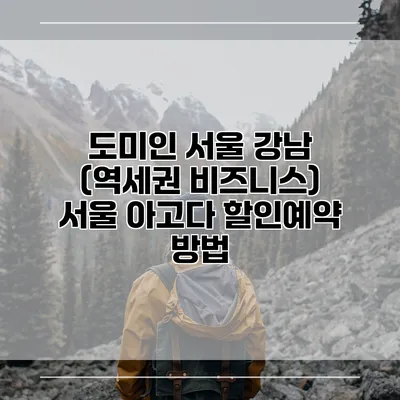 도미인 서울 강남 (역세권 비즈니스) 서울 아고다 할인예약 방법