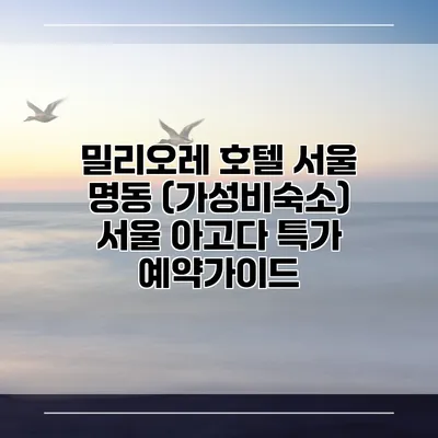 밀리오레 호텔 서울 명동 (가성비숙소) 서울 아고다 특가 예약가이드