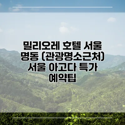 밀리오레 호텔 서울 명동 (관광명소근처) 서울 아고다 특가 예약팁