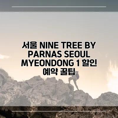 서울 NINE TREE BY PARNAS SEOUL MYEONDONG 1 할인 예약 꿀팁