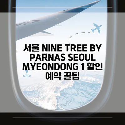 서울 NINE TREE BY PARNAS SEOUL MYEONDONG 1 할인 예약 꿀팁