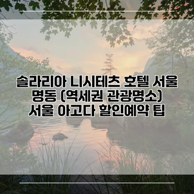 솔라리아 니시테츠 호텔 서울 명동 (역세권 관광명소) 서울 아고다 할인예약 팁