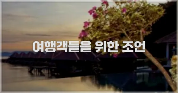 여행객들을 위한 조언