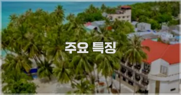 ✨ 주요 특징