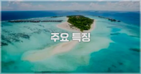 ✨ 주요 특징
