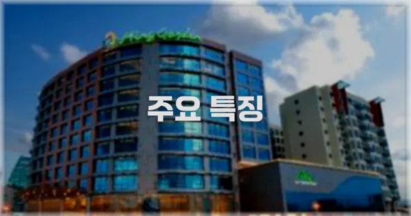 ✨ 주요 특징