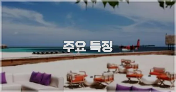 ✨ 주요 특징