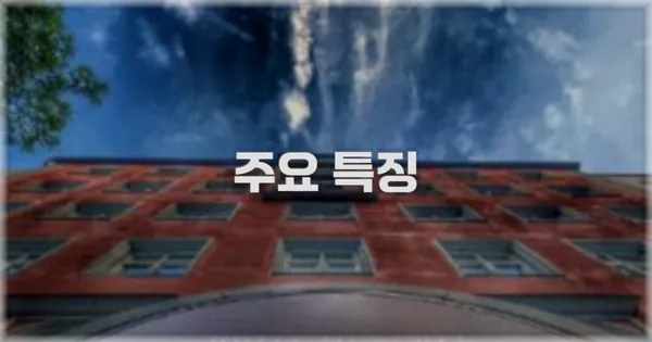 ✨ 주요 특징