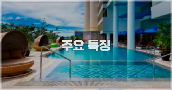 ✨ 주요 특징
