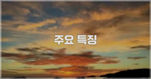 ✨ 주요 특징