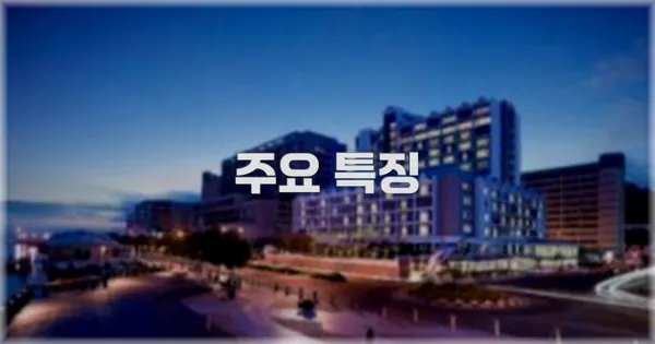 ✨ 주요 특징