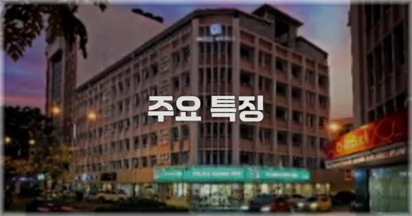 ✨ 주요 특징