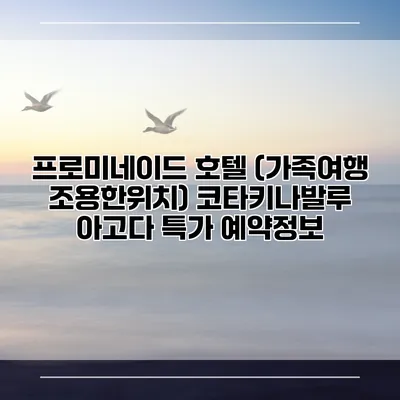 프로미네이드 호텔 (가족여행 조용한위치) 코타키나발루 아고다 특가 예약정보