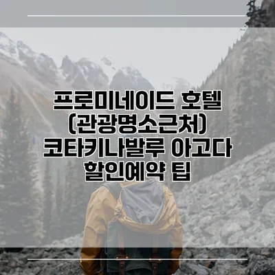 프로미네이드 호텔 (관광명소근처) 코타키나발루 아고다 할인예약 팁