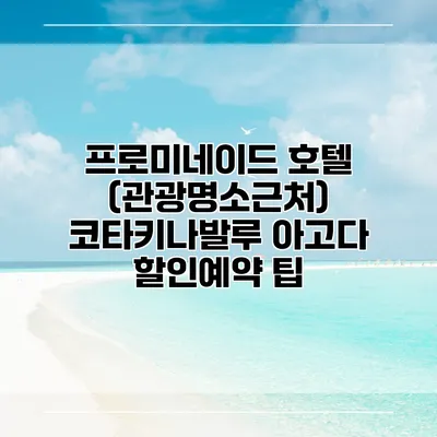 프로미네이드 호텔 (관광명소근처) 코타키나발루 아고다 할인예약 팁