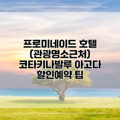 프로미네이드 호텔 (관광명소근처) 코타키나발루 아고다 할인예약 팁