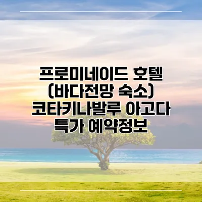 프로미네이드 호텔 (바다전망 숙소) 코타키나발루 아고다 특가 예약정보