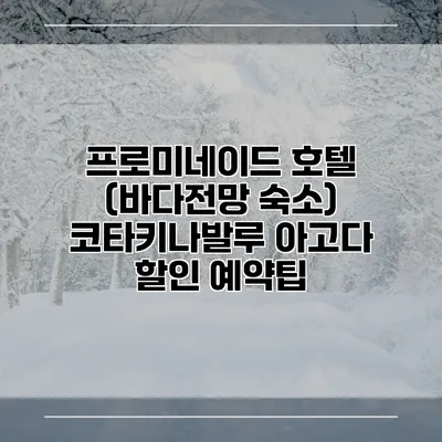 프로미네이드 호텔 (바다전망 숙소) 코타키나발루 아고다 할인 예약팁