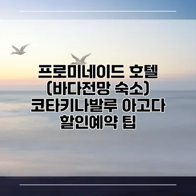 프로미네이드 호텔 (바다전망 숙소) 코타키나발루 아고다 할인예약 팁