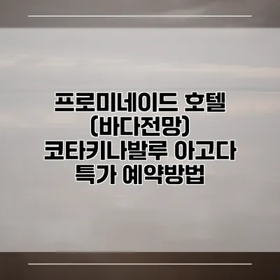 프로미네이드 호텔 (바다전망) 코타키나발루 아고다 특가 예약방법