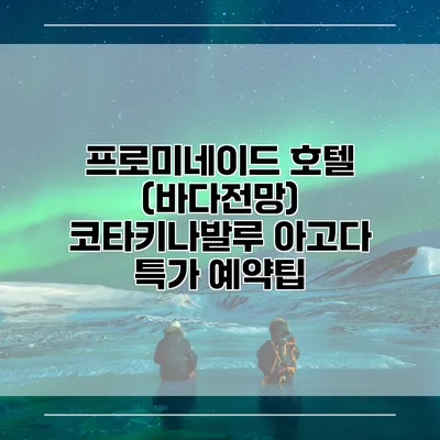 프로미네이드 호텔 (바다전망) 코타키나발루 아고다 특가 예약팁