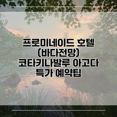 프로미네이드 호텔 (바다전망) 코타키나발루 아고다 특가 예약팁
