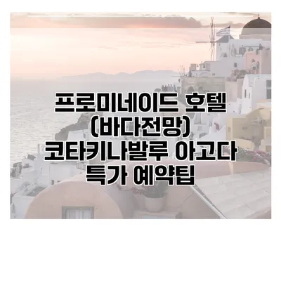 프로미네이드 호텔 (바다전망) 코타키나발루 아고다 특가 예약팁