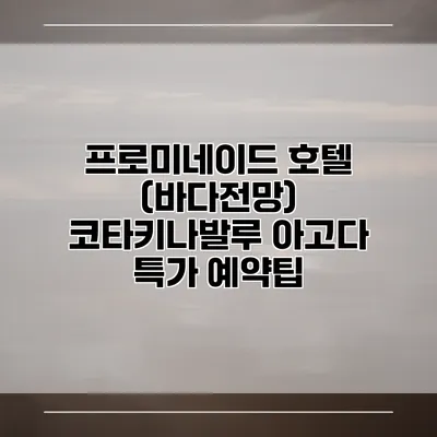 프로미네이드 호텔 (바다전망) 코타키나발루 아고다 특가 예약팁