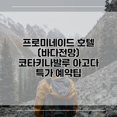 프로미네이드 호텔 (바다전망) 코타키나발루 아고다 특가 예약팁