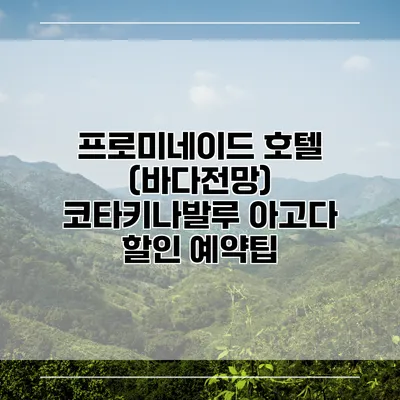 프로미네이드 호텔 (바다전망) 코타키나발루 아고다 할인 예약팁