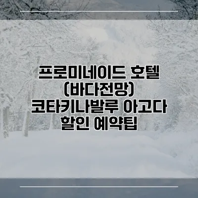 프로미네이드 호텔 (바다전망) 코타키나발루 아고다 할인 예약팁