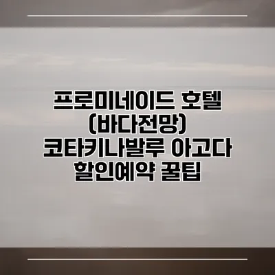 프로미네이드 호텔 (바다전망) 코타키나발루 아고다 할인예약 꿀팁