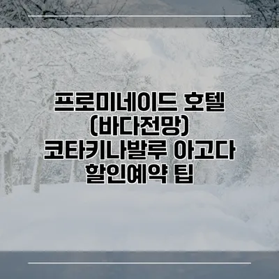 프로미네이드 호텔 (바다전망) 코타키나발루 아고다 할인예약 팁