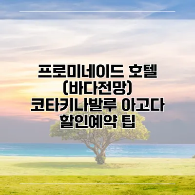 프로미네이드 호텔 (바다전망) 코타키나발루 아고다 할인예약 팁