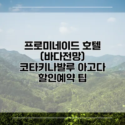 프로미네이드 호텔 (바다전망) 코타키나발루 아고다 할인예약 팁