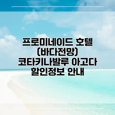 프로미네이드 호텔 (바다전망) 코타키나발루 아고다 할인정보 안내