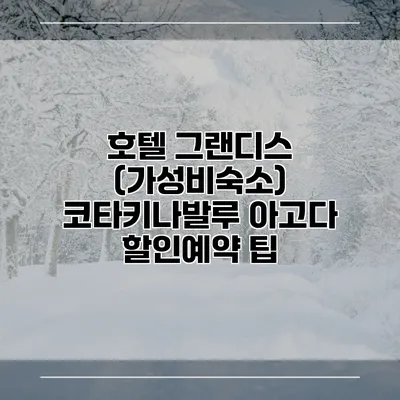 호텔 그랜디스 (가성비숙소) 코타키나발루 아고다 할인예약 팁