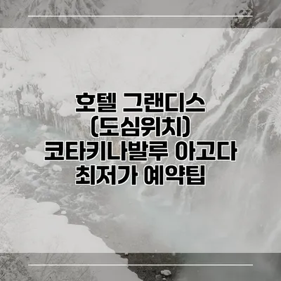 호텔 그랜디스 (도심위치) 코타키나발루 아고다 최저가 예약팁