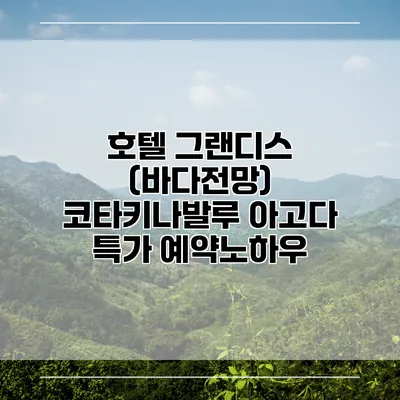 호텔 그랜디스 (바다전망) 코타키나발루 아고다 특가 예약노하우