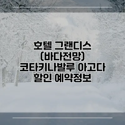 호텔 그랜디스 (바다전망) 코타키나발루 아고다 할인 예약정보