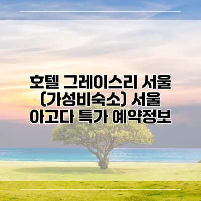 호텔 그레이스리 서울 (가성비숙소) 서울 아고다 특가 예약정보