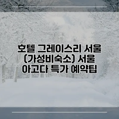 호텔 그레이스리 서울 (가성비숙소) 서울 아고다 특가 예약팁