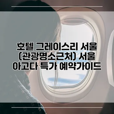 호텔 그레이스리 서울 (관광명소근처) 서울 아고다 특가 예약가이드